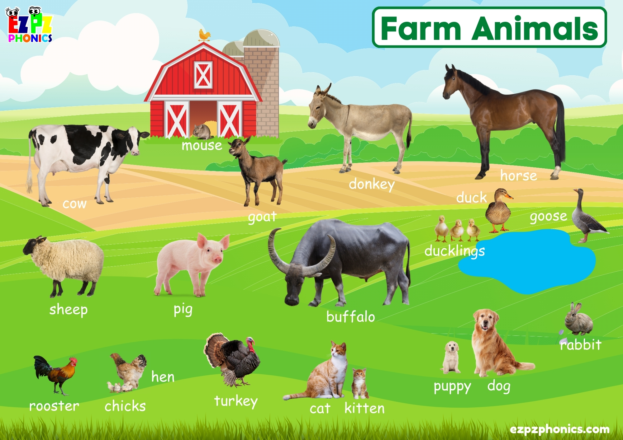 Farm Animals Vocabulary Picture Dictionary